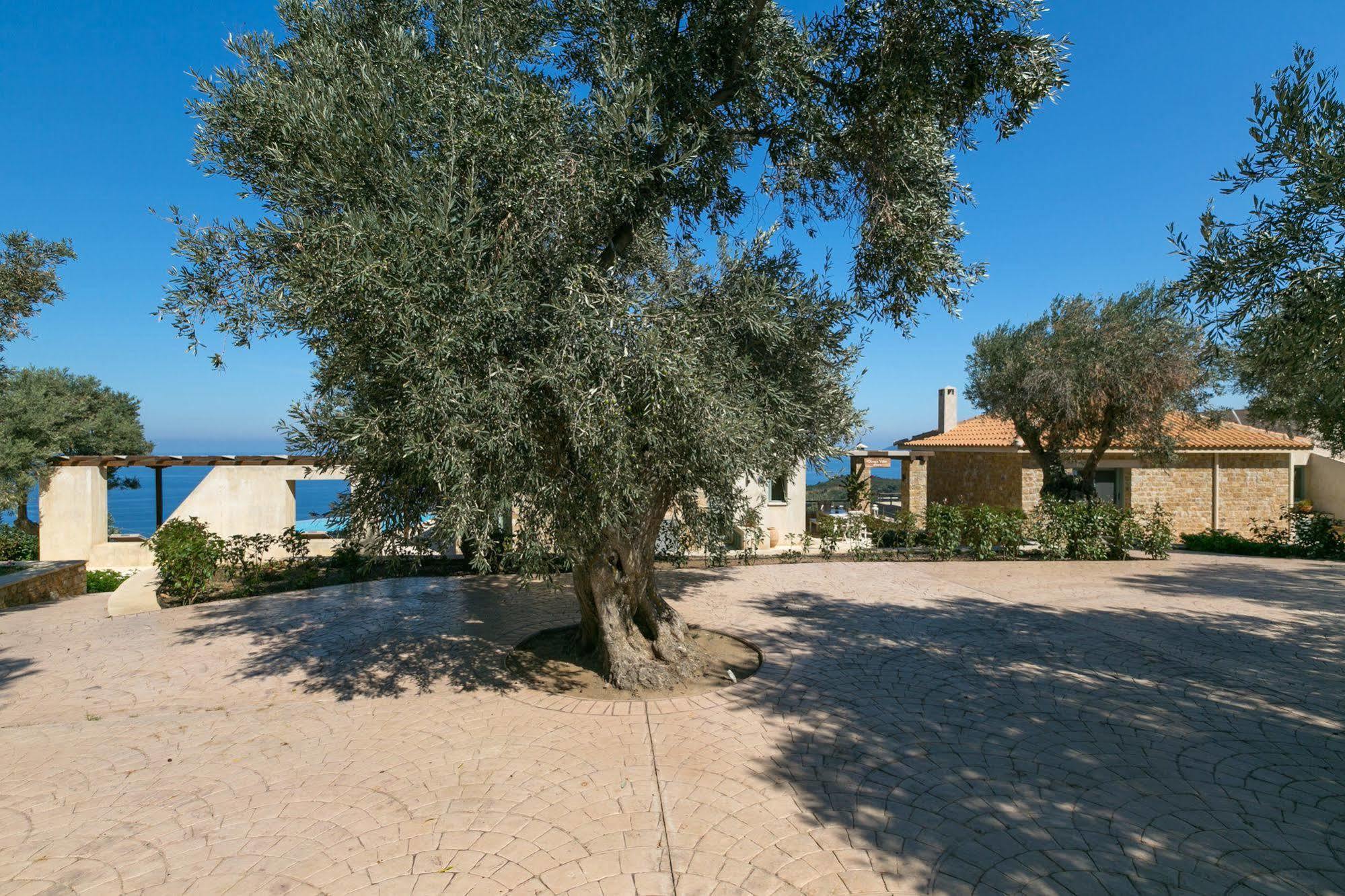 Olivia'S Villas Of Luxury Kalivia  Exterior photo